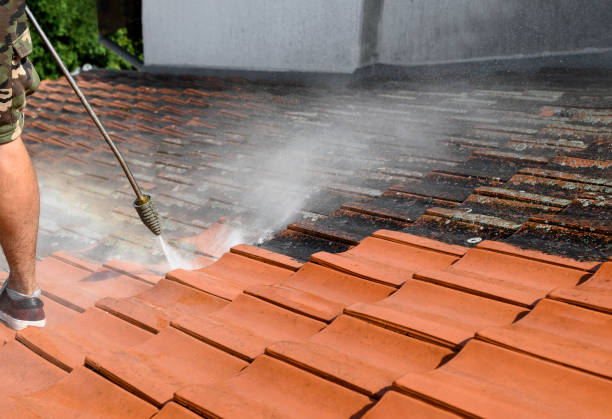 Best Pressure Washing Near Me  in Spring Lake, NC